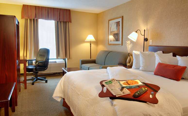 Hampton Inn Washington-Dulles International Airport South Chantilly Chambre photo